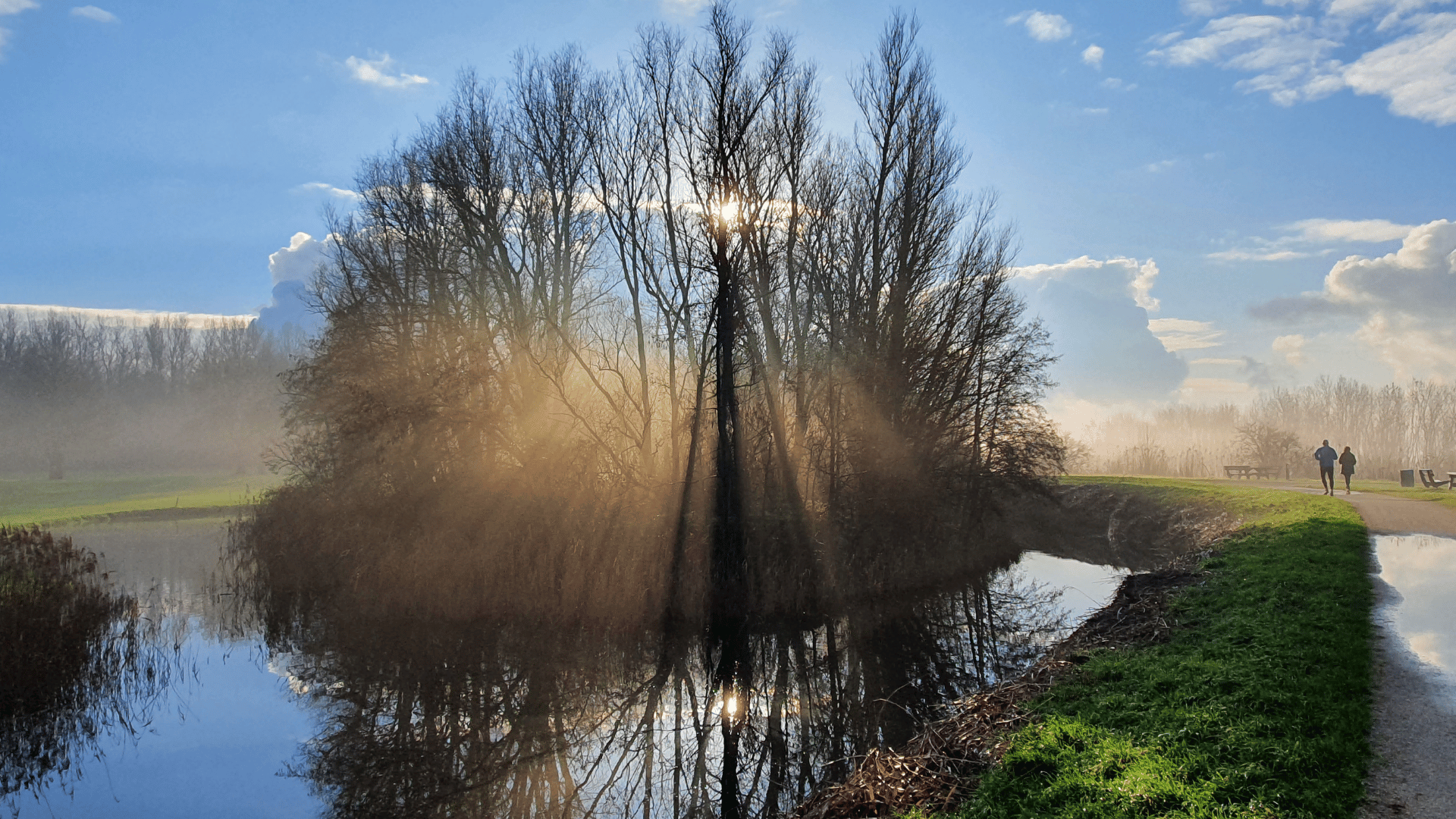 OvernatuurinVlaardingen