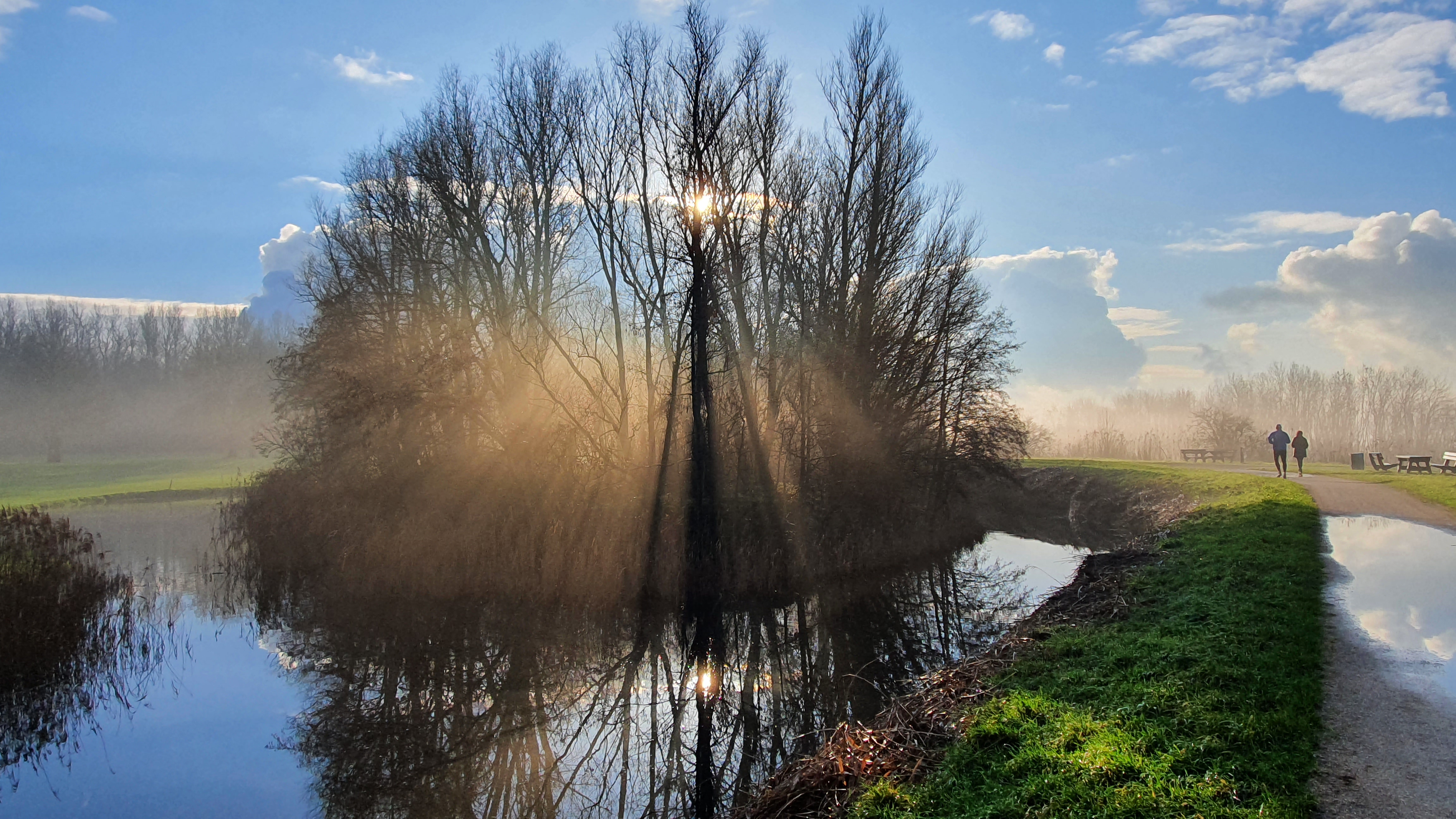 Over natuur in Vlaardingen