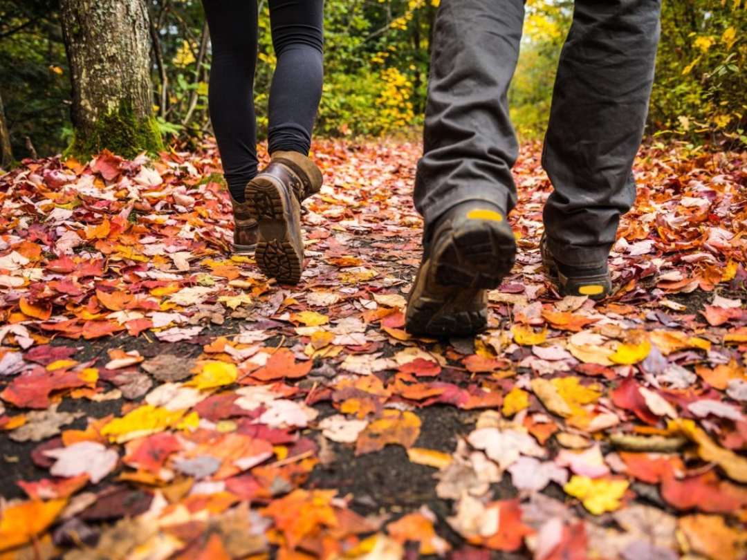 Op zoek naar nog meer inspiratie?