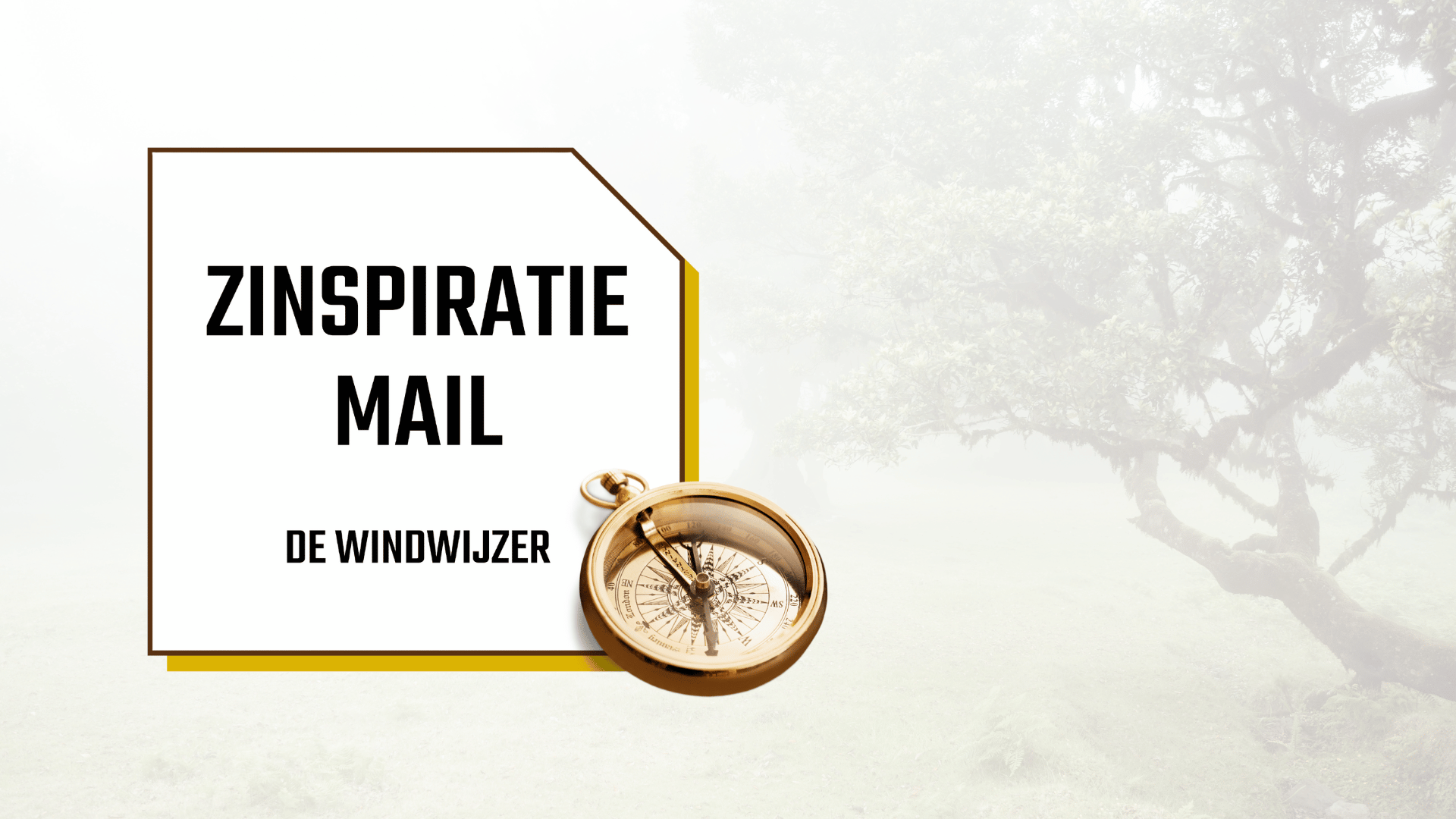 Meld je aan voor de Zinspiratiemail